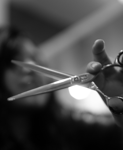 Shears2
